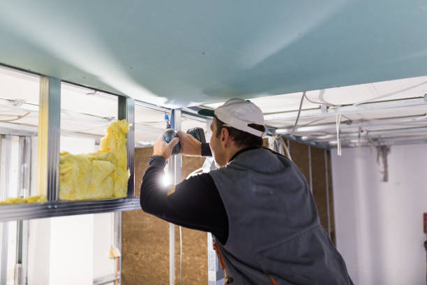 Best Residential Insulation Services  in St Joseph, MI